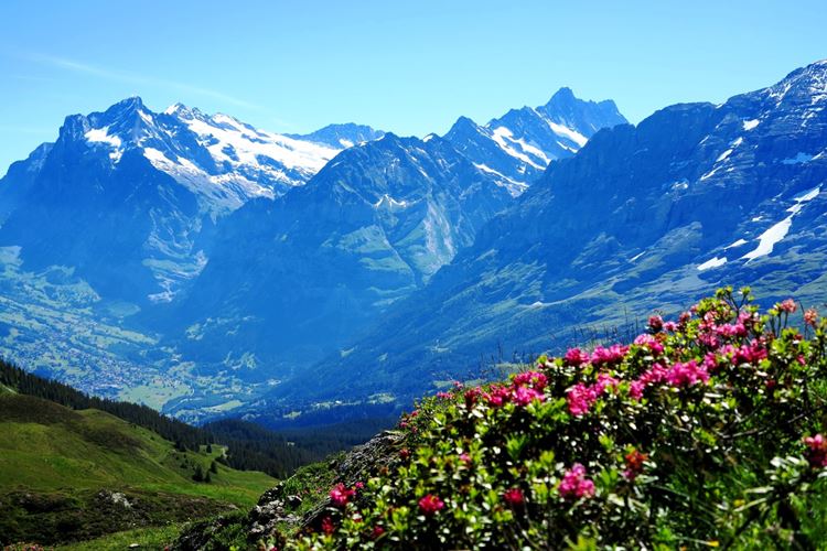 Bernské Alpy 5 (1)